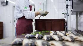 Азбука Вкуса: расшифровка наименований премиальных продуктов в Роснефть