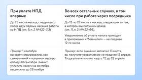 Что нужно ИП для торговли: полный перечень требований в Роснефть