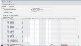 Что понимается под транзакцией SAP в Роснефть