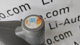 Что такое мастер-аккаунт LISYA в Роснефть