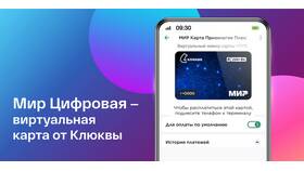 Что такое платежный счет карты Мир в Роснефть