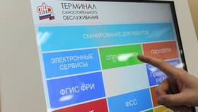 Как получить электронный СНИЛС через Госуслуги в Роснефть