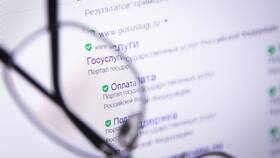 Как получить форму КНД 1160077 через портал Госуслуги в Роснефть