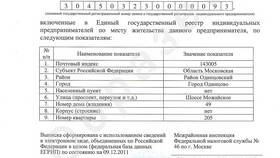 Как получить выписку по ИП в Роснефть