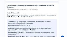 Как проверить наличие ареста на выезд за границу в Роснефть