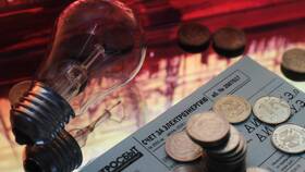 Как рассчитывают субсидию: порядок начисления в Роснефть