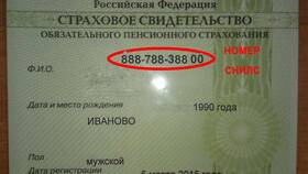 Как узнать данные СНИЛС в Роснефть