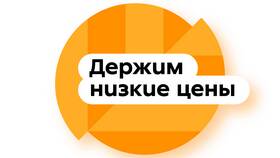 Как выглядит логотип Пятерочки в Роснефть