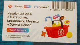 Пакет в Пятерочке «Подписка»: что это такое в Роснефть
