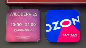 Почему на Wildberries просят паспортные данные в Роснефть
