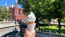 Сколько стоит рожок в McDonald's