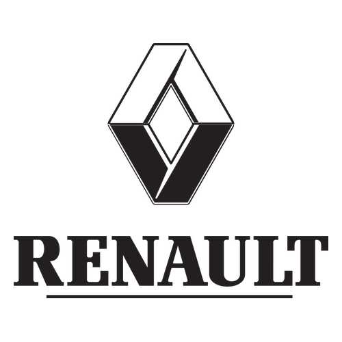 Боковое зеркало заднего вида RENAULT 963010497R в Роснефть