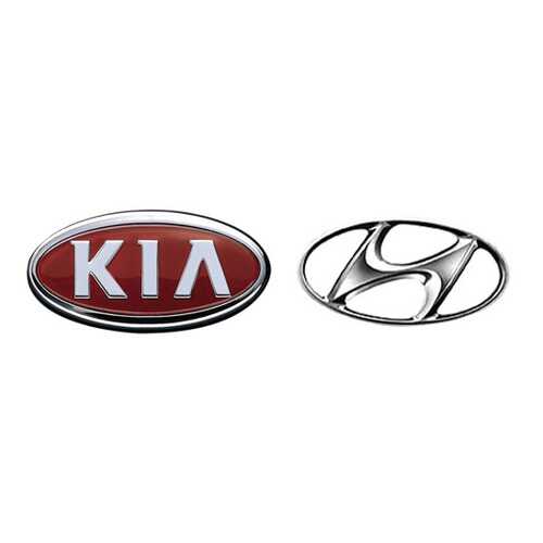 Форсунка омывателя Hyundai-KIA 986302B000 в Роснефть